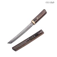  Нож "Айкути" из дамасской стали ZDI-1016 (макасар, фути мокуме гане) - Компания «АиР»