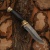 Нож Клычок-3 с сюжетом Тигр в укрытии, комбинированные ножны, Артикул: 37530 - Компания «АиР»