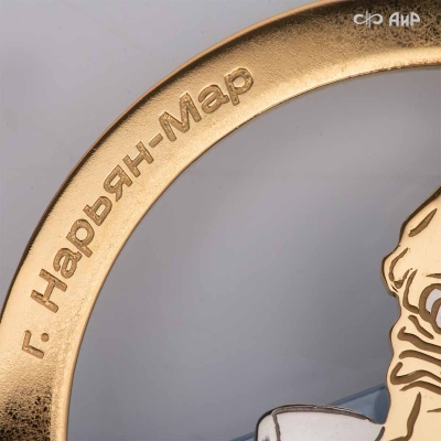 Наградной приз Буран-День - Компания «АиР»