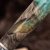  Нож Финка-5 с сюжетом Дикий вепрь, гибрид, комбинированные ножны, Артикул: 38690 - Компания «АиР»